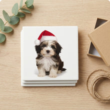Havanese Puppy ceramic coasters set of 4, gift set