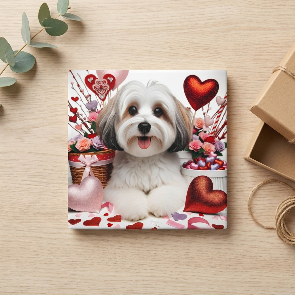 Havanese ceramic coasters set of 4, gift set