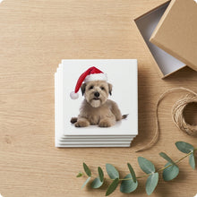 Glen of Imaal Terrier ceramic coasters set of 4, gift set