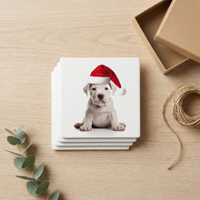 Dogo Argentino Puppy ceramic coasters set of 4, gift set