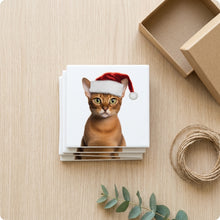 Abyssinian Cat ceramic coasters set of 4, gift set