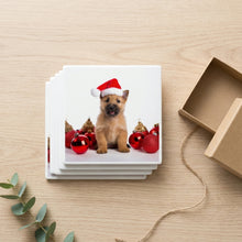Norwich Terrier Puppy ceramic coasters set of 4, gift set