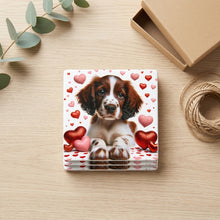 English Springer Spaniel ceramic coasters set of 4, gift set