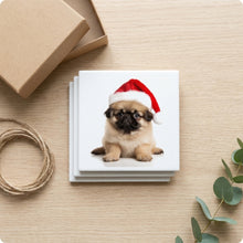 Pekingese Puppy ceramic coasters set of 4, gift set