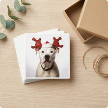 Dogo Argentino ceramic coasters set of 4, gift set