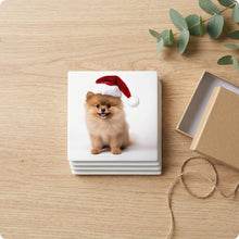 Pomeranian Puppy ceramic coasters set of 4, gift set