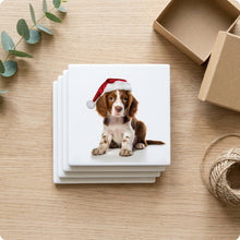 Irish Red and White Setter Puppy ceramic coasters set of 4, gift set