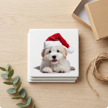 Coton de Tulear Puppy ceramic coasters set of 4, gift set