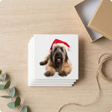 Briard ceramic coasters set of 4, gift set
