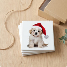 Pumik Puppy ceramic coasters set of 4, gift set