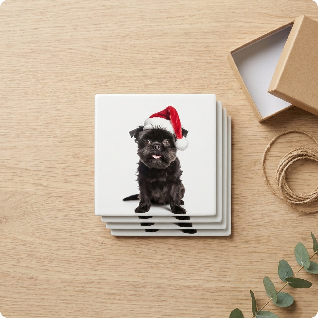 Affenpinscher ceramic coasters set of 4, gift set