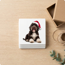 Spanish Water Dog ceramic coasters set of 4, gift set
