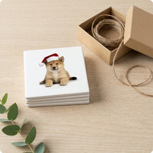 Icelandic Sheepdog Puppy ceramic coasters set of 4, gift set