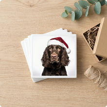 American Water Spaniel ceramic coasters set of 4, gift set