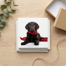 Flat-Coated Retriever Puppy ceramic coasters set of 4, gift set