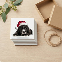 Newfoundland Puppy ceramic coasters set of 4, gift set