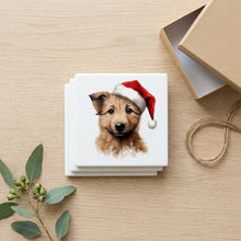 Berger Picard Puppy Drawing ceramic coasters set of 4, gift set