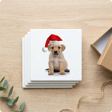 Chinook Puppy ceramic coasters set of 4, gift set