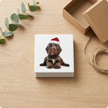 Wirehaired Pointing Griffon Puppy ceramic coasters set of 4, gift set