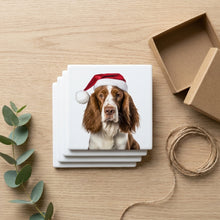 Welsh Springer Spaniel ceramic coasters set of 4, gift set