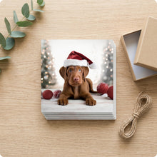 Wirehaired Vizsla Puppy ceramic coasters set of 4, gift set