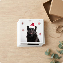Schipperke ceramic coasters set of 4, gift set