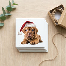 Dogue de Bordeaux Puppy Drawing ceramic coasters set of 4, gift set