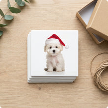 Bichon Frise Puppy ceramic coasters set of 4, gift set