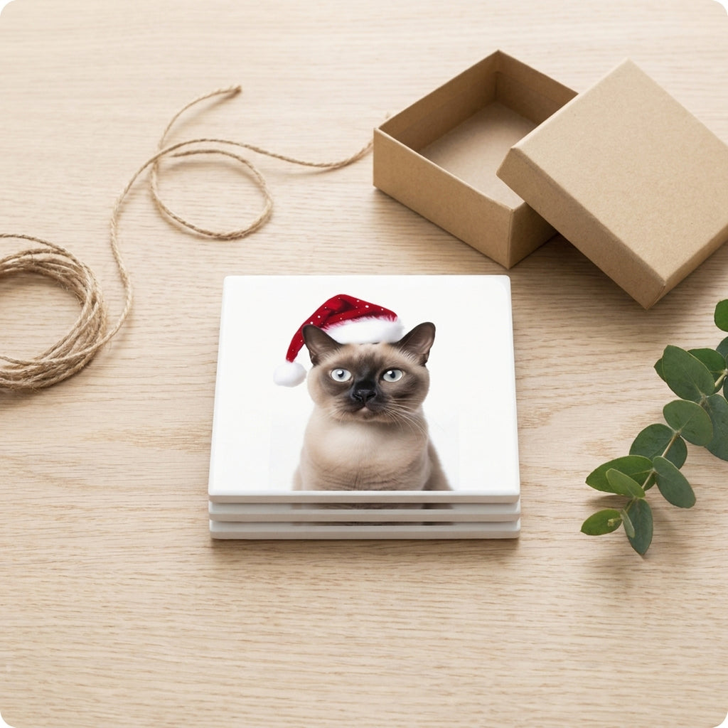 Burmese Cat ceramic coasters set of 4, gift set
