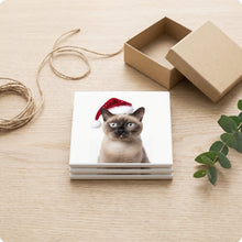 Burmese Cat ceramic coasters set of 4, gift set
