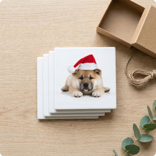 Akita Puppy ceramic coasters set of 4, gift set