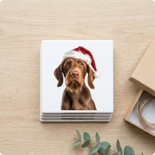 Wirehaired Vizsla ceramic coasters set of 4, gift set