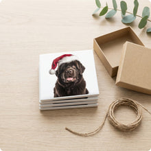 Newfoundland ceramic coasters set of 4, gift set