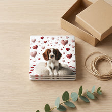 Welsh Springer Spaniel ceramic coasters set of 4, gift set