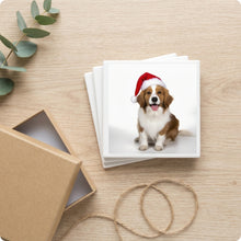 Kooikerhondje ceramic coasters set of 4, gift set
