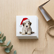 Sealyham Terrier Puppy ceramic coasters set of 4, gift set