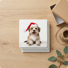 Biewer Terrier ceramic coasters set of 4, gift set