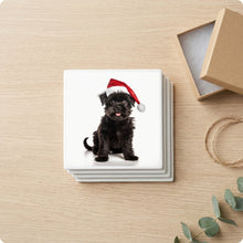 Affenpinscher Puppy ceramic coasters set of 4, gift set