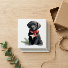 Chinook Puppy Drawing ceramic coasters set of 4, gift set