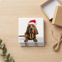 Bloodhound ceramic coasters set of 4, gift set