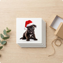 Staffordshire Bull Terrier Puppy ceramic coasters set of 4, gift set