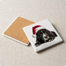 Newfoundland Puppy ceramic coasters set of 4, cork back