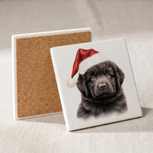 Newfoundland Puppy Drawing ceramic coasters set of 4, cork back
