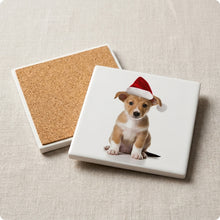 Portuguese Podengo Pequeno Puppy ceramic coasters set of 4, cork back
