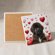 Newfoundland ceramic coasters set of 4, cork back