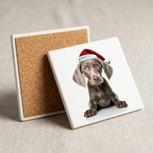Weimaraner Puppy ceramic coasters set of 4, cork back