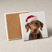 Wirehaired Vizsla Puppy ceramic coasters set of 4, cork back