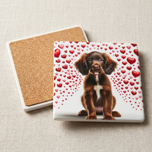 Boykin Spaniel ceramic coasters set of 4, cork back