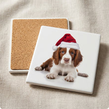 Irish Red and White Setter Puppy ceramic coasters set of 4, cork back