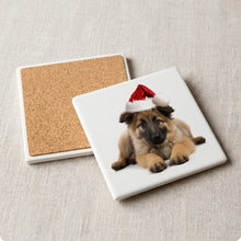 Belgian Tervuren Puppy ceramic coasters set of 4, cork back